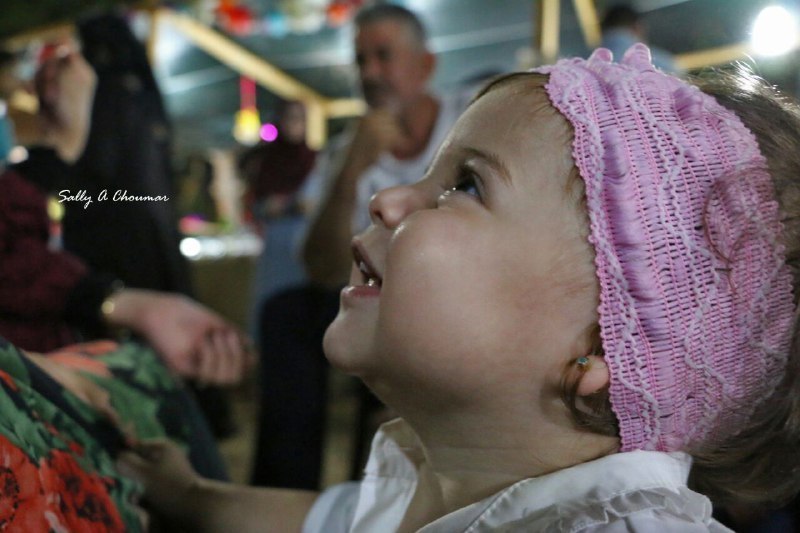 ����� ������ �� ������ ������� ������ 2017 (�����-������ ������- ���� ����)